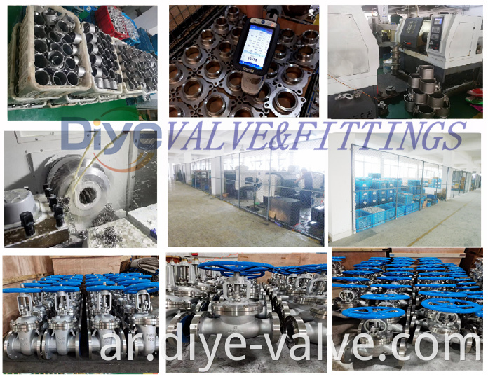 DIYE VALVE AND FITTING 6